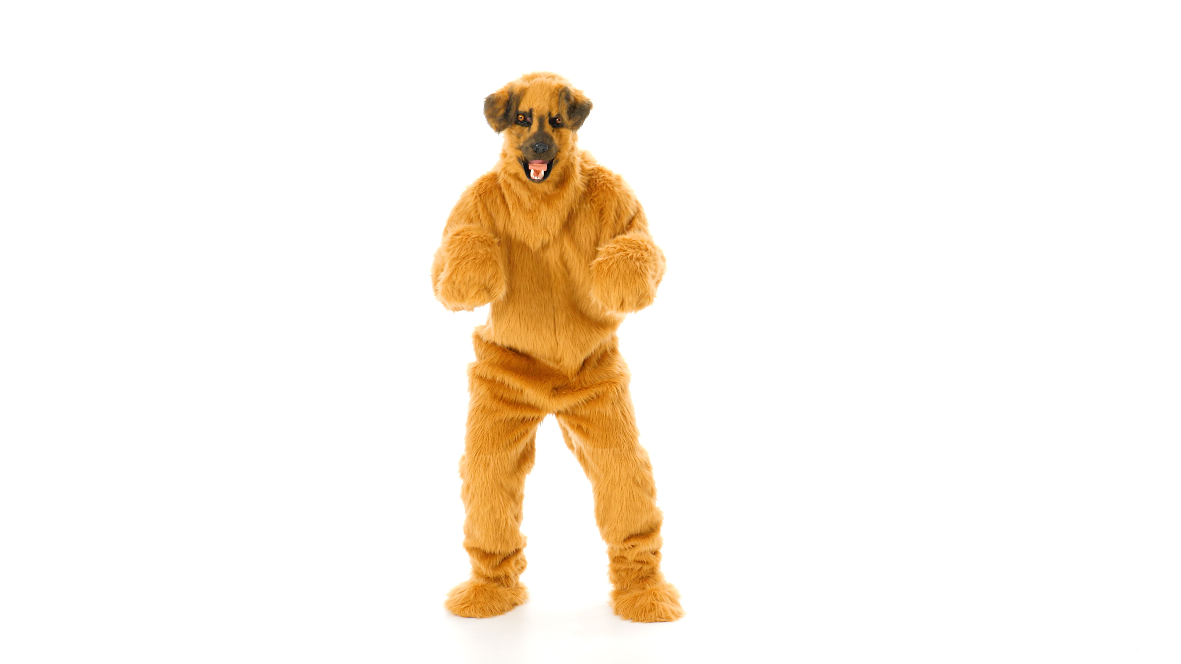 EL451706-ADST Dog Suit